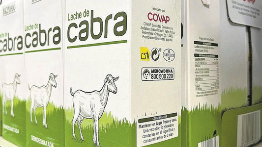 ¿Cuál es la mejor leche para el consumo humano?