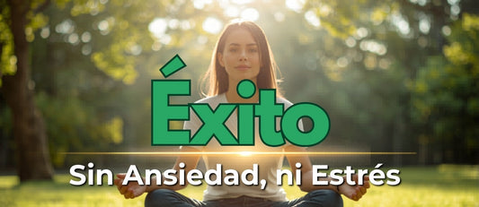 Alcanzar el éxito