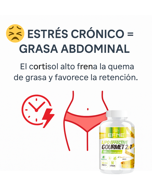 Lipo Effective EFNE 90 cápsulas – Activación y definición