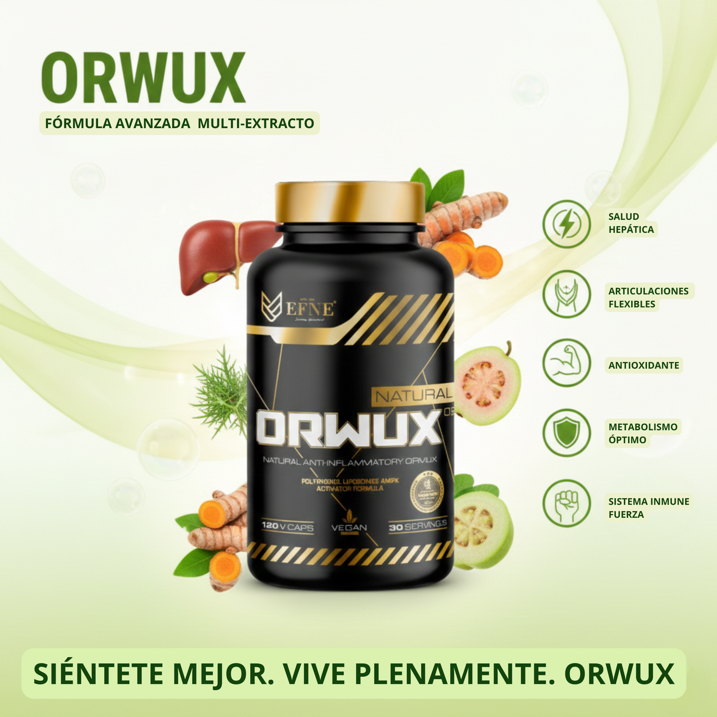 ORWUX EFNE – Antiinflamatorio Natural Más Potente (120 Cápsulas)
