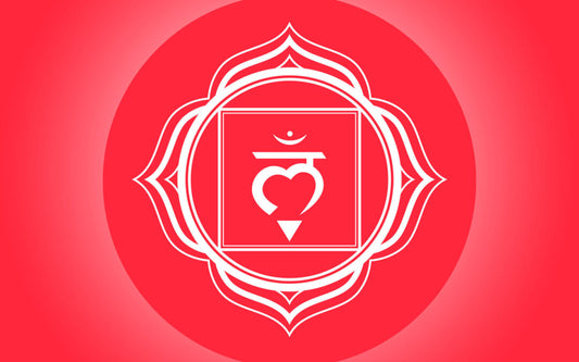 SANAR Y DESBLOQUEAR CHAKRA RAIZ