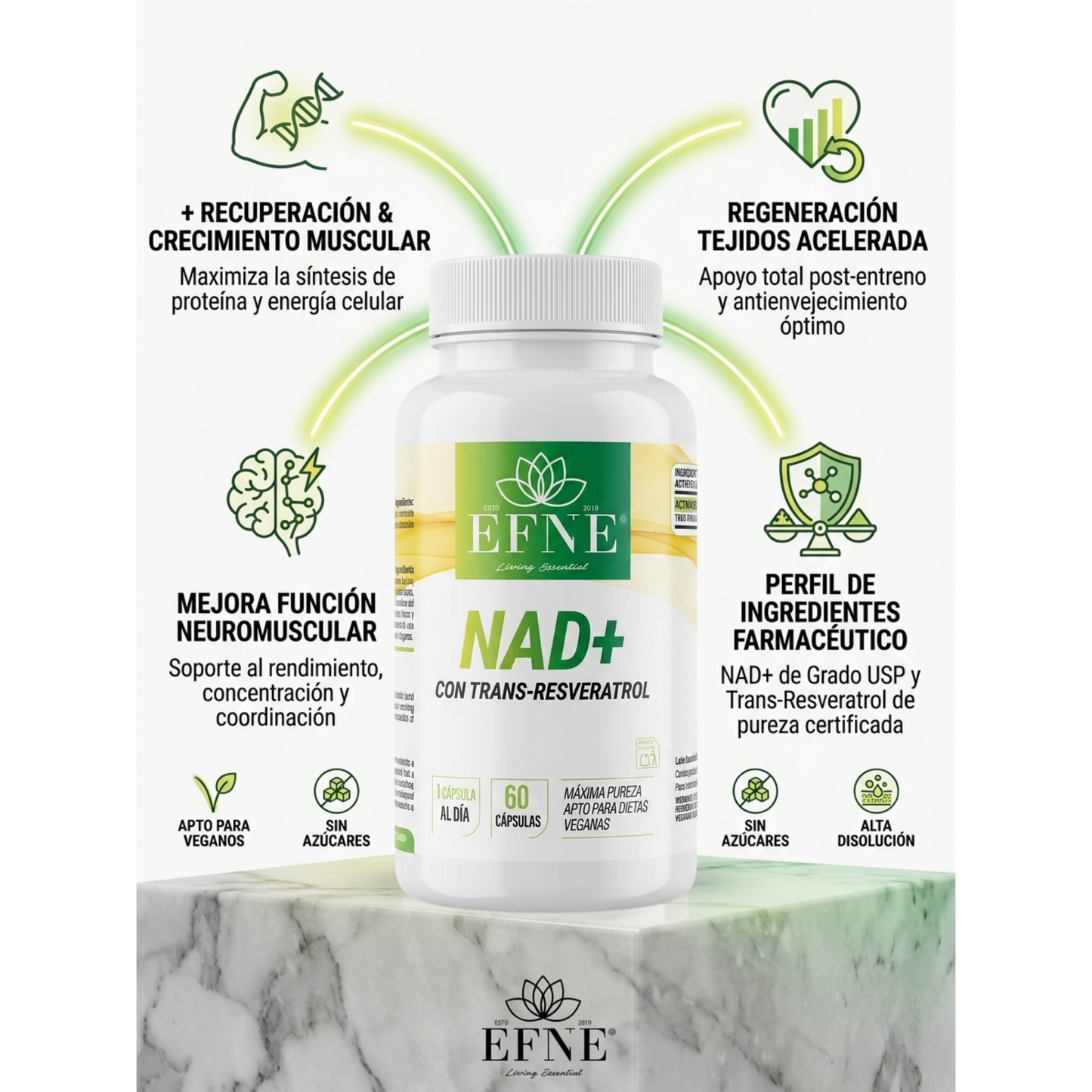 Beneficios del NAD con Trans-Resveratrol de EFNE, suplemento para potenciar la longevidad y vitalidad después de los 40.