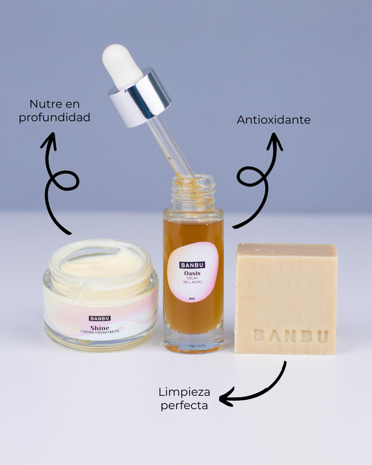 Pack Rutina Facial MEDIA ECO - Well Aging PIEL SECA