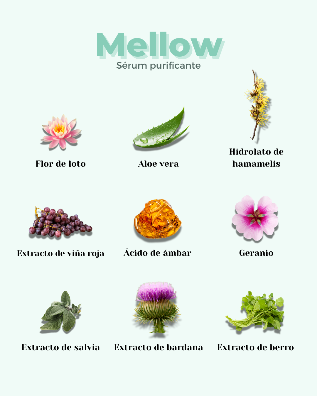 IMPERFECT0-Sérum Facial ECO Purificante MELLOW