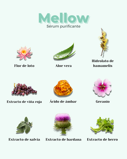 IMPERFECT0-Sérum Facial ECO Purificante MELLOW
