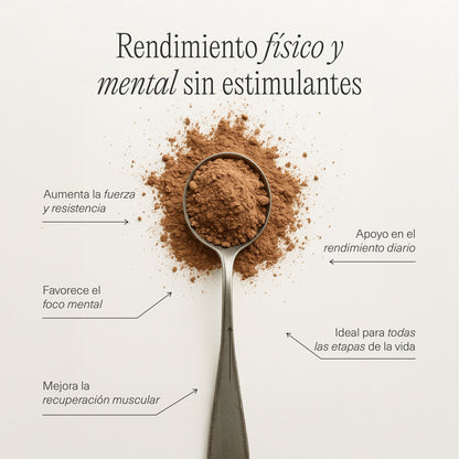 Ficha técnica de batido FemmeUp Creatina, con información detallada sobre ingredientes y beneficios.