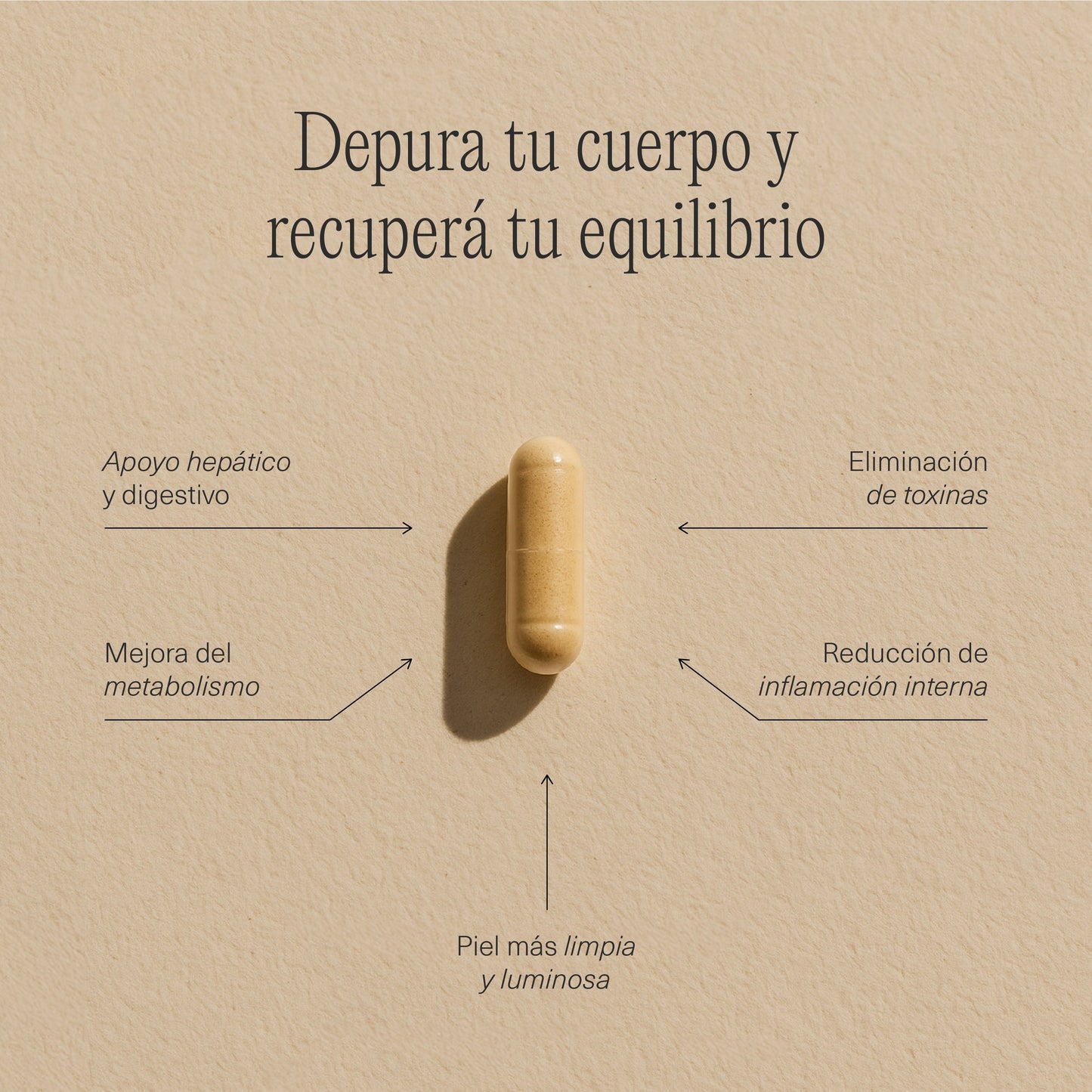 Fichas técnicas de las cápsulas FemmeUp Detox, suplemento para desintoxicación de la marca FemmeUp, en formato digital.