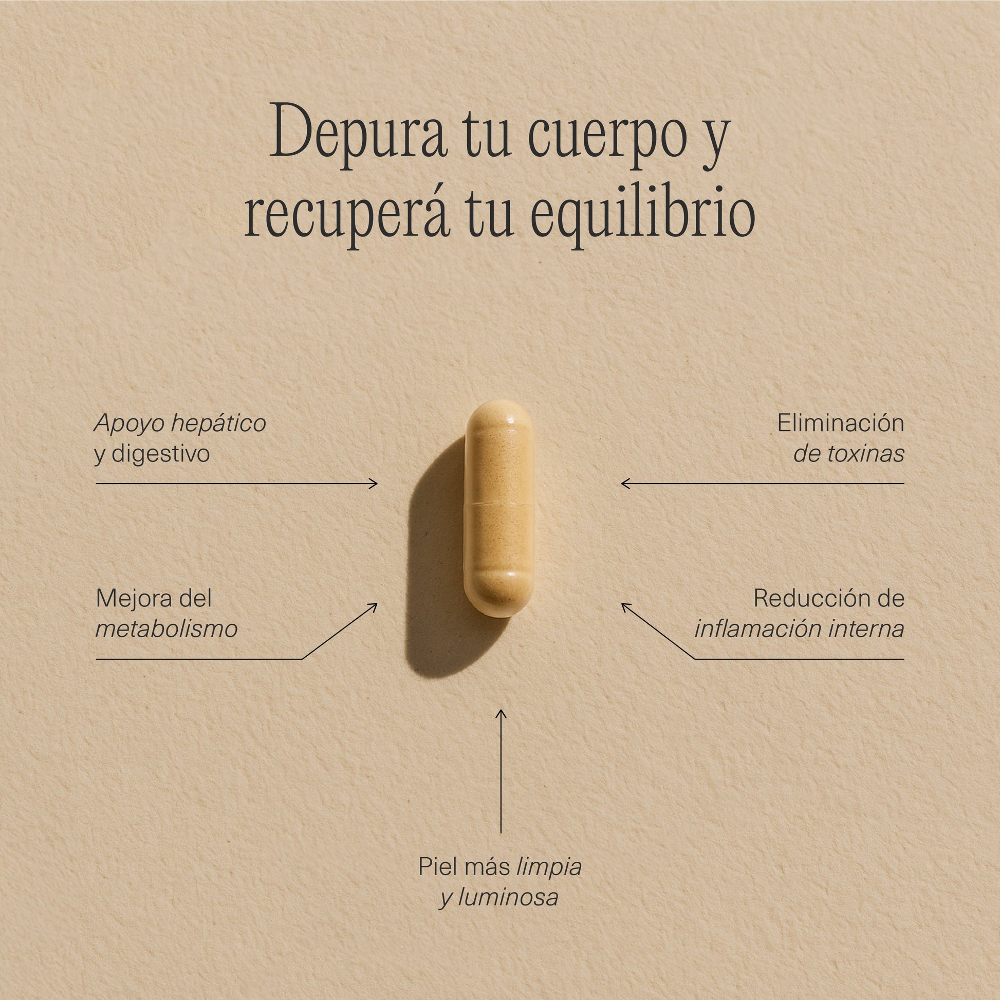 Fichas técnicas de las cápsulas FemmeUp Detox, suplemento para desintoxicación de la marca FemmeUp, en formato digital.