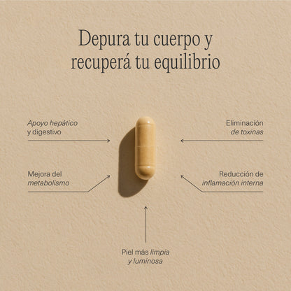 Fichas técnicas de las cápsulas FemmeUp Detox, suplemento para desintoxicación de la marca FemmeUp, en formato digital.