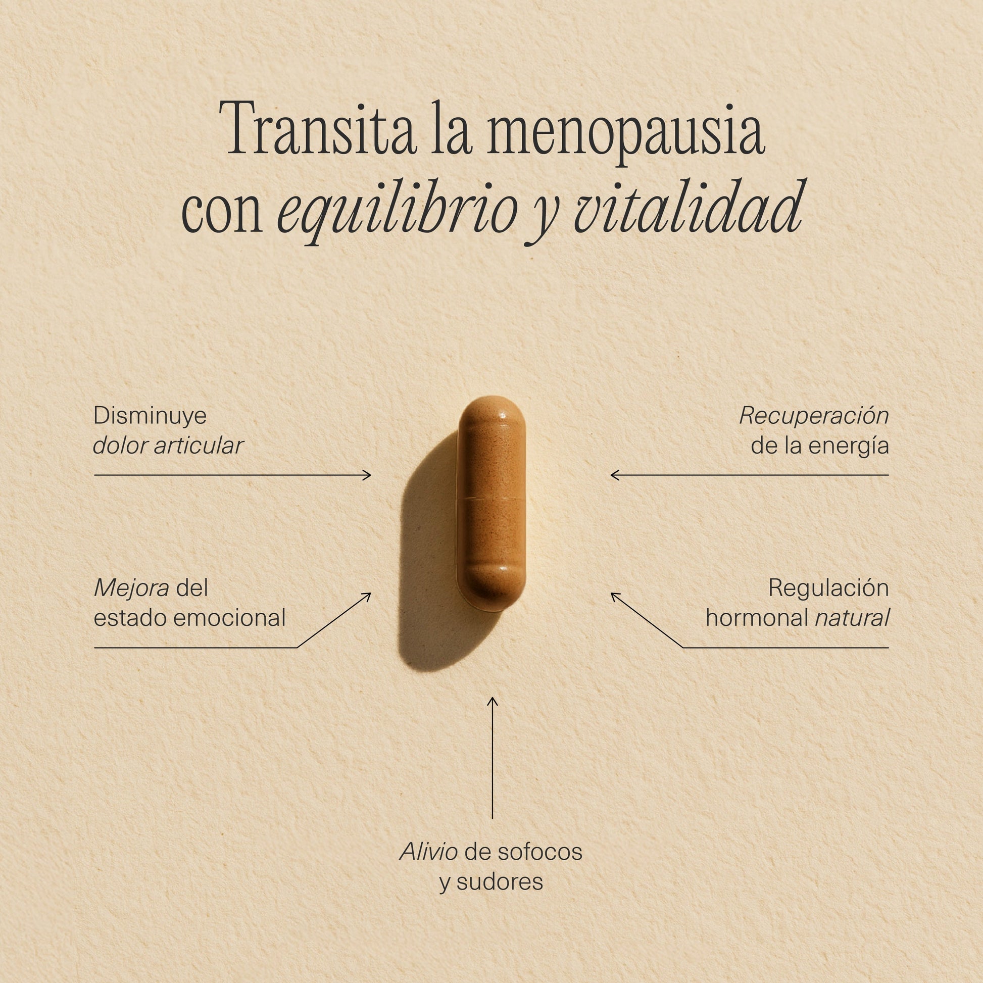 Ficha técnica de las cápsulas FemmeUp Plenipausia, suplemento natural para bienestar femenino.