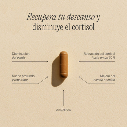 Cápsulas FemmeUp Zen en frasco, suplemento para el bienestar femenino, con ingredientes naturales, en envase blanco con etiqueta.