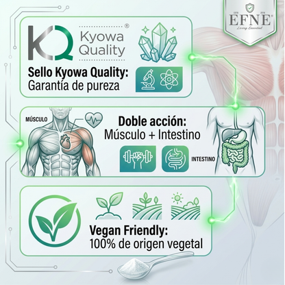 Suplemento de L-Glutamina pura EFNE de 500g para recuperación muscular y salud intestinal, envase frontal en color neutro