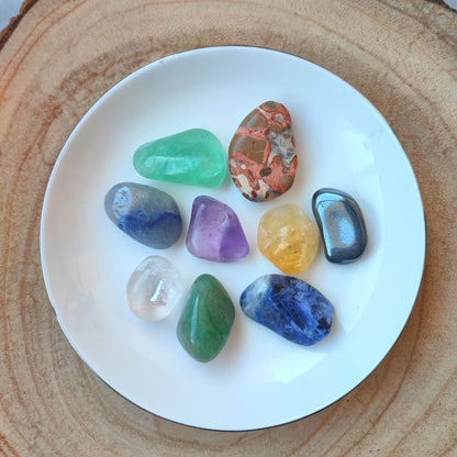Kit de minerales para estudiar de Mystical Tienda, muestra varias gemas y minerales en un conjunto para aprendizaje.