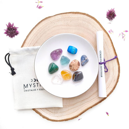 Kit de minerales para estudiar de Mystical Tienda, incluye varias piedras y minerales para aprendizaje y exploración científica.