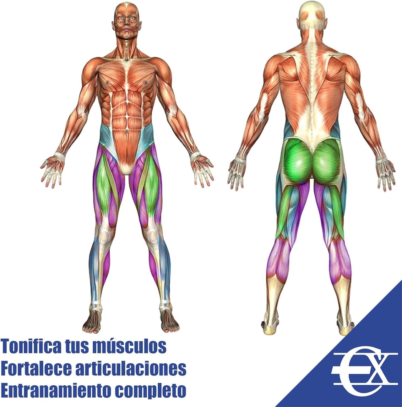 Kit vertical de gomas elásticas de resistencia para tren inferior de innovagizmo, ideal para entrenamiento de fuerza y tonificación.