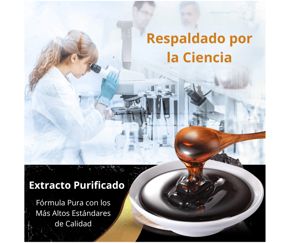 Resina de Shilajit del Himalaya en trozo, suplemento dietético natural para energía y vitalidad, vista en envase transparente