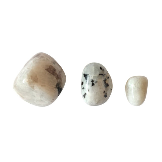 Rodado de piedra de luna de Mystical Tienda, muestra su superficie lisa y brillo suave en un fondo neutro.