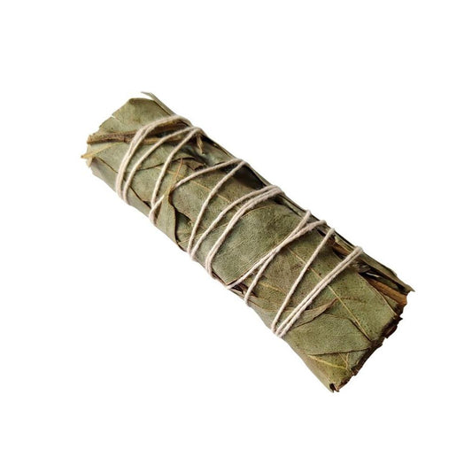 Sahumerio de Eucalipto